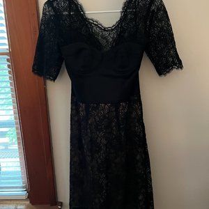 BCBG MaxAzria Lace Dress with Corset
